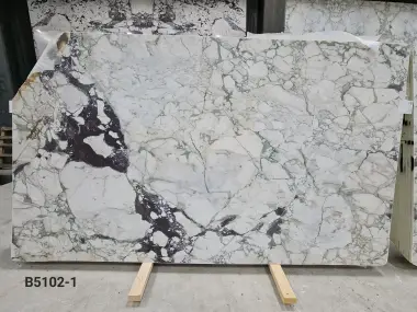 B5102 - 2 CM Calacatta Viola Honed