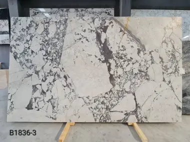 B1836 - 2 CM Calacatta Viola Honed