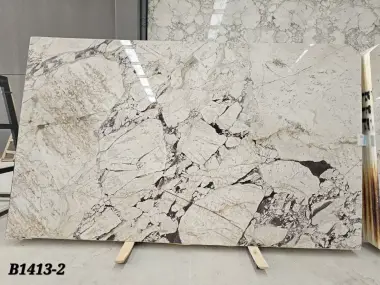 B1413- 2 CM Calacatta Viola Polished
