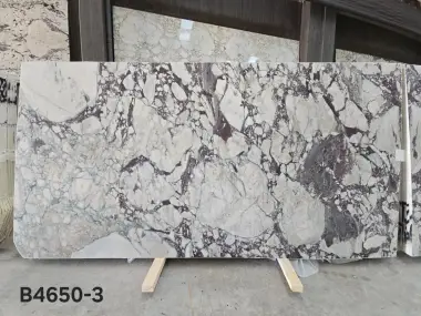 B4650 - 2 CM Calacatta Viola Honed