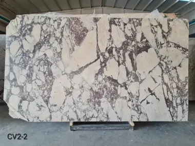 CV2 - 1.2 CM Calacatta Viola Honed