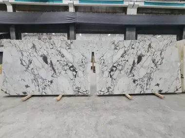 B2111 - Calacatta Viola Honed