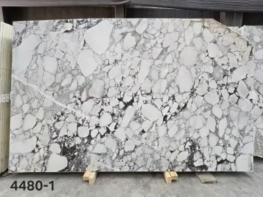 4480 - 2 CM Calacatta Viola Honed