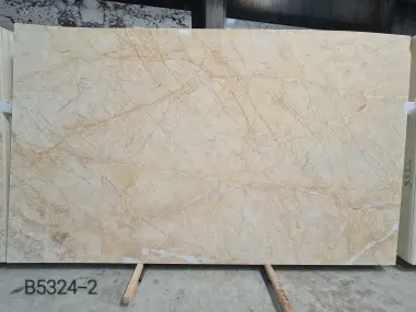B5324 - 2 CM Golden Spider Dolomite Honed