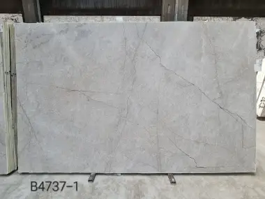 B4737 - 2 CM Silver Roots Honed