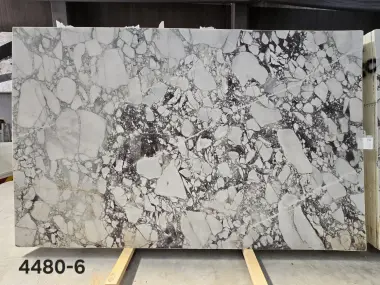 4480 - 2 CM Calacatta Viola Honed