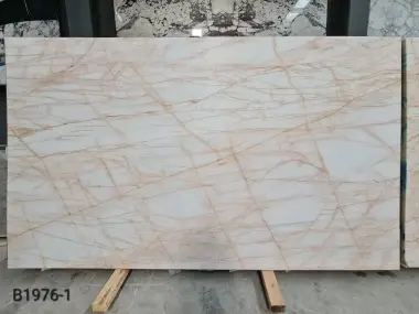 B1976 - 2 CM Golden Spider Dolomite Honed