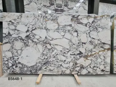 B5648 - 2 CM Calacatta Viola Honed