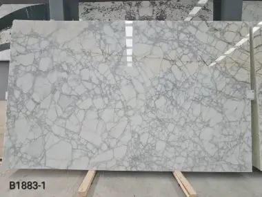 B1883 - 2CM CALACATTA VENATO POLISHED