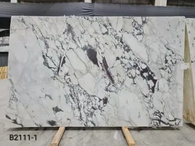 B2111 - Calacatta Viola Honed