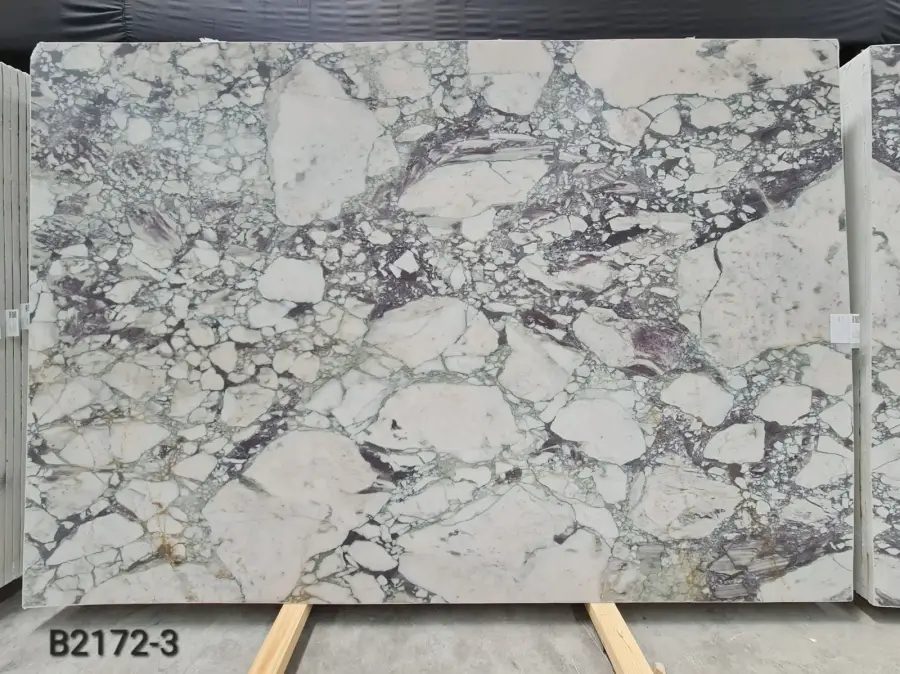 B2172 - 2 CM Calacatta Viola Honed