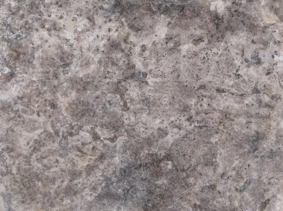 Silver Travertine