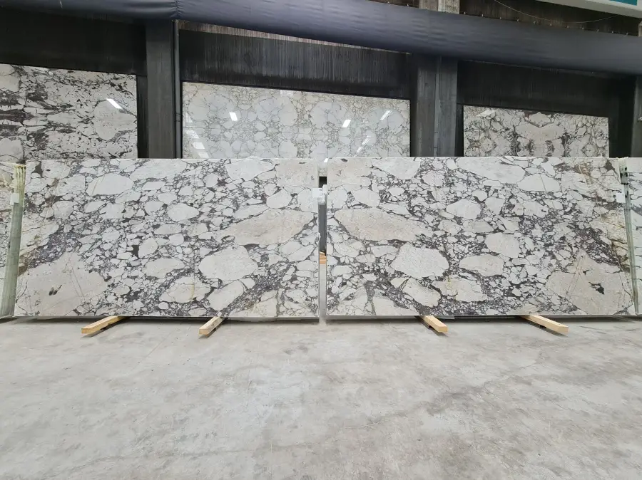 B5591 - 2 CM Calacatta Viola Honed