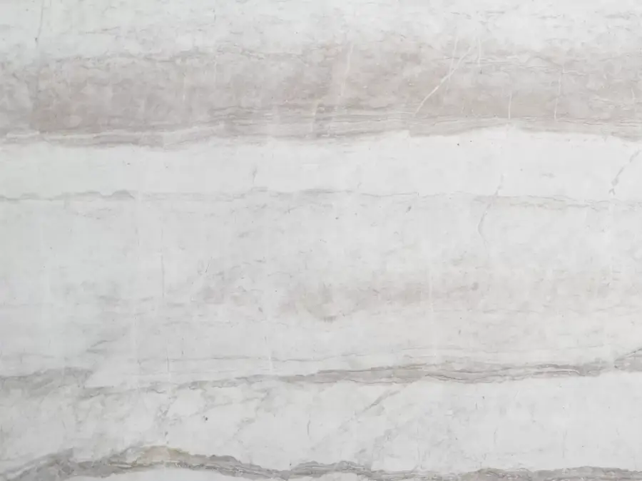 Palissandro Dolomite