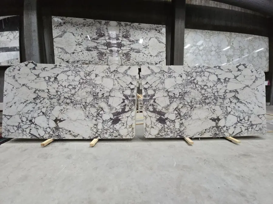 B5444 - 2 CM Calacatta Viola Honed