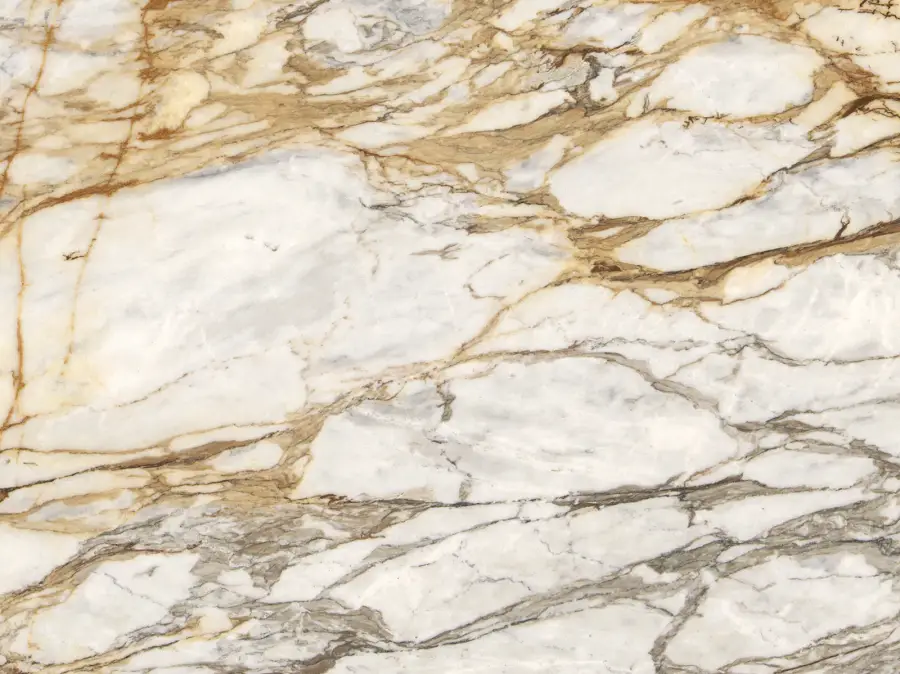 Calacatta Gold