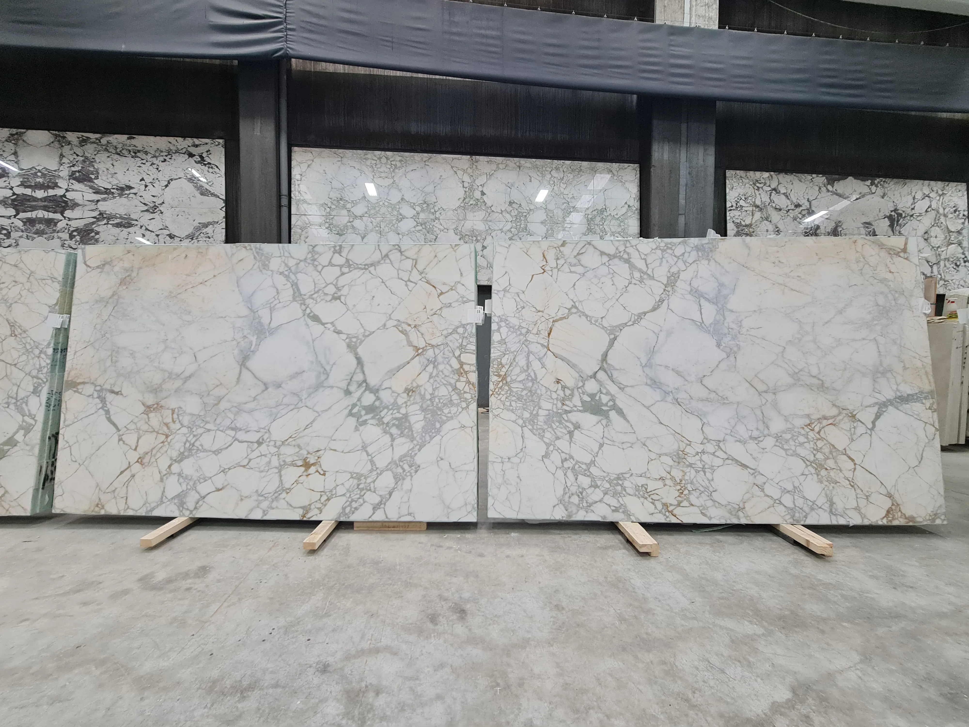 B6231 - 2 CM Calacatta Venato Honed