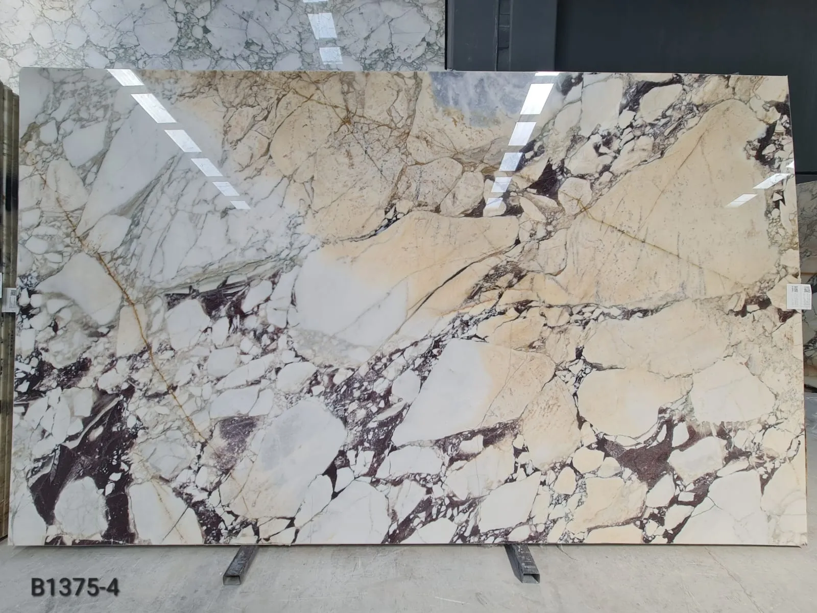 B1375 - 2 CM Calacatta Viola Polished