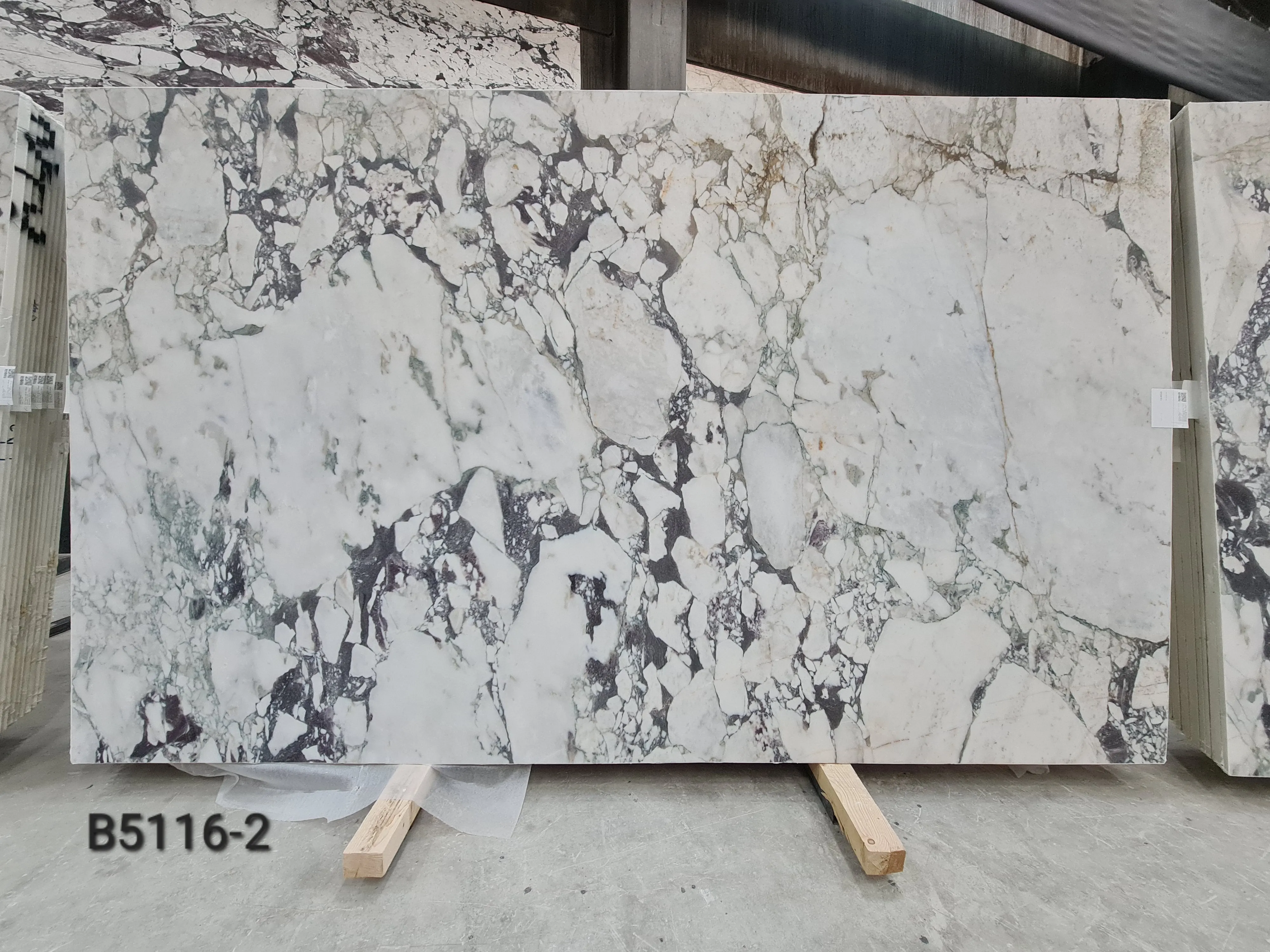 B5116 - 2 CM Calacatta Viola Honed