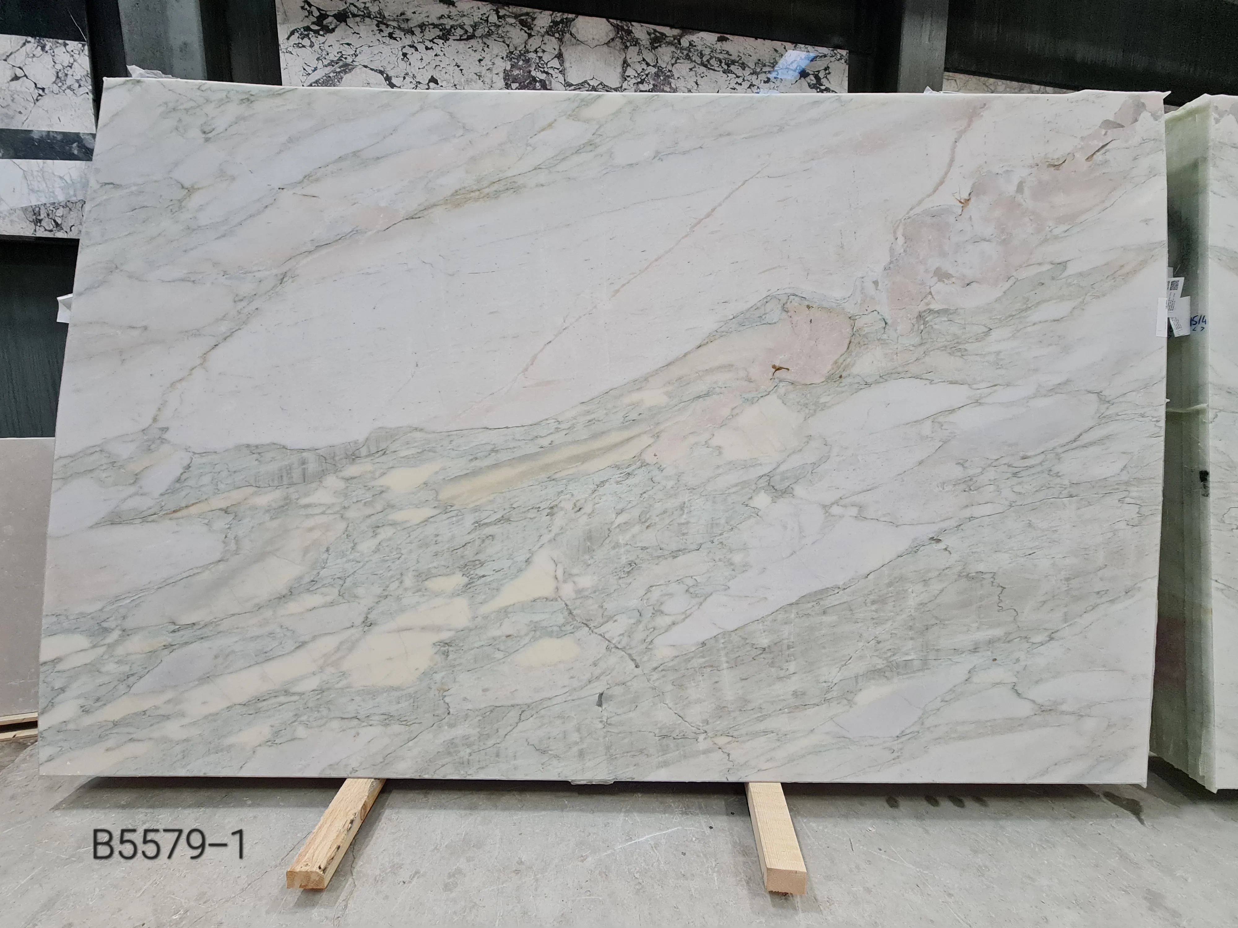 B5579 - 2 CM Arabescato Oyster Honed