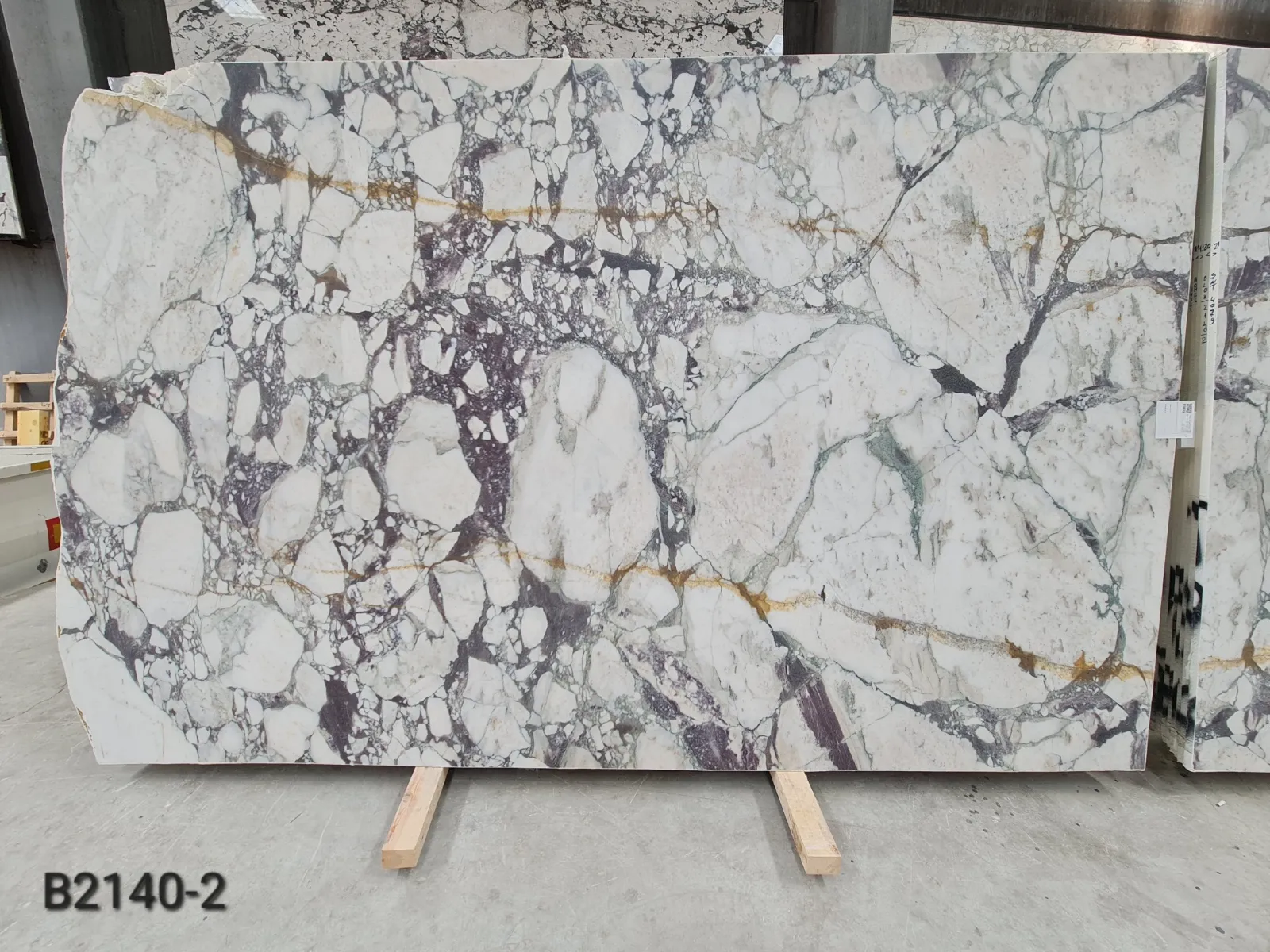 B2140 - Calacatta Viola Honed