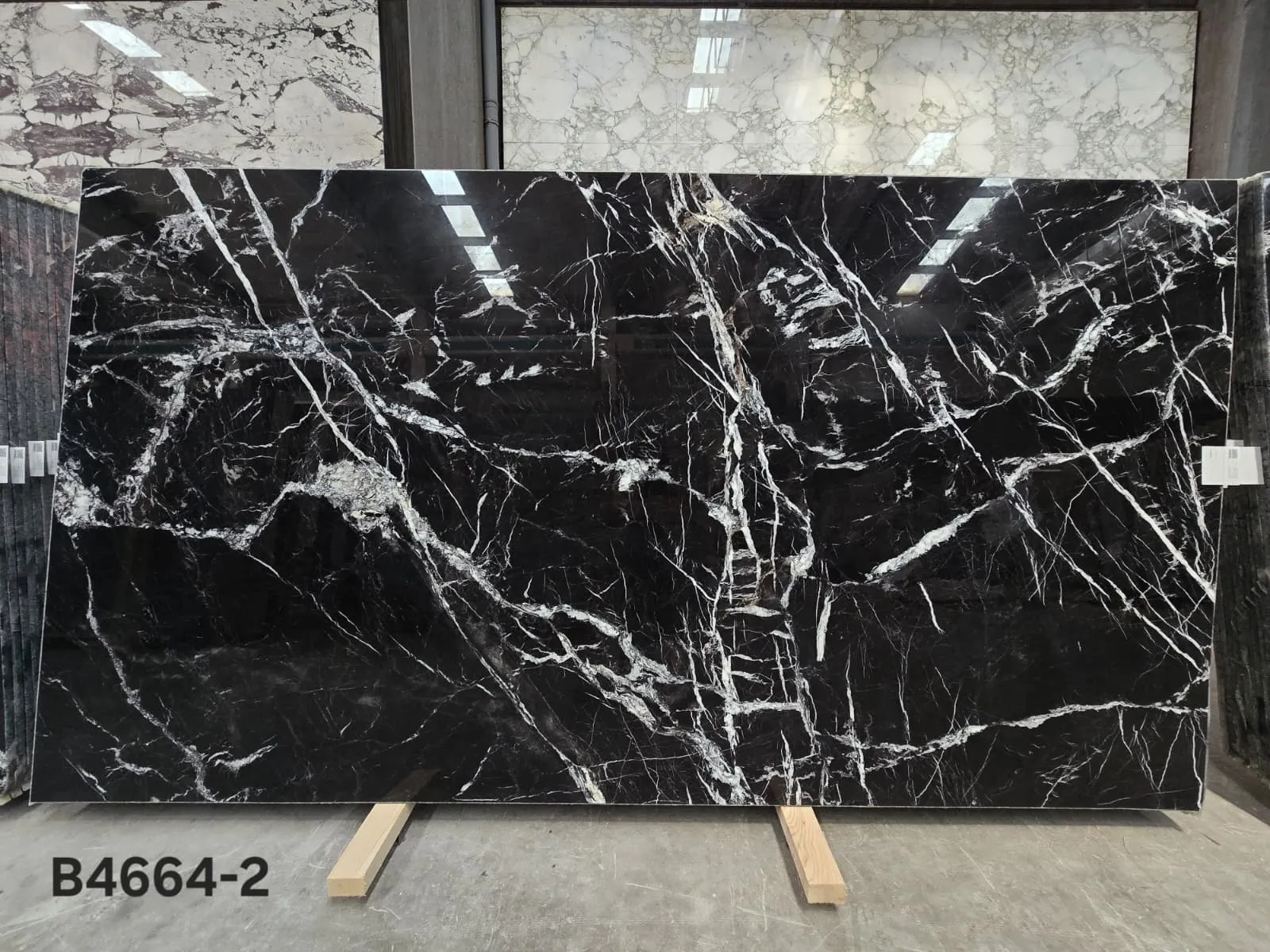 B4664 - 2 CM Alexandrette Black Polished