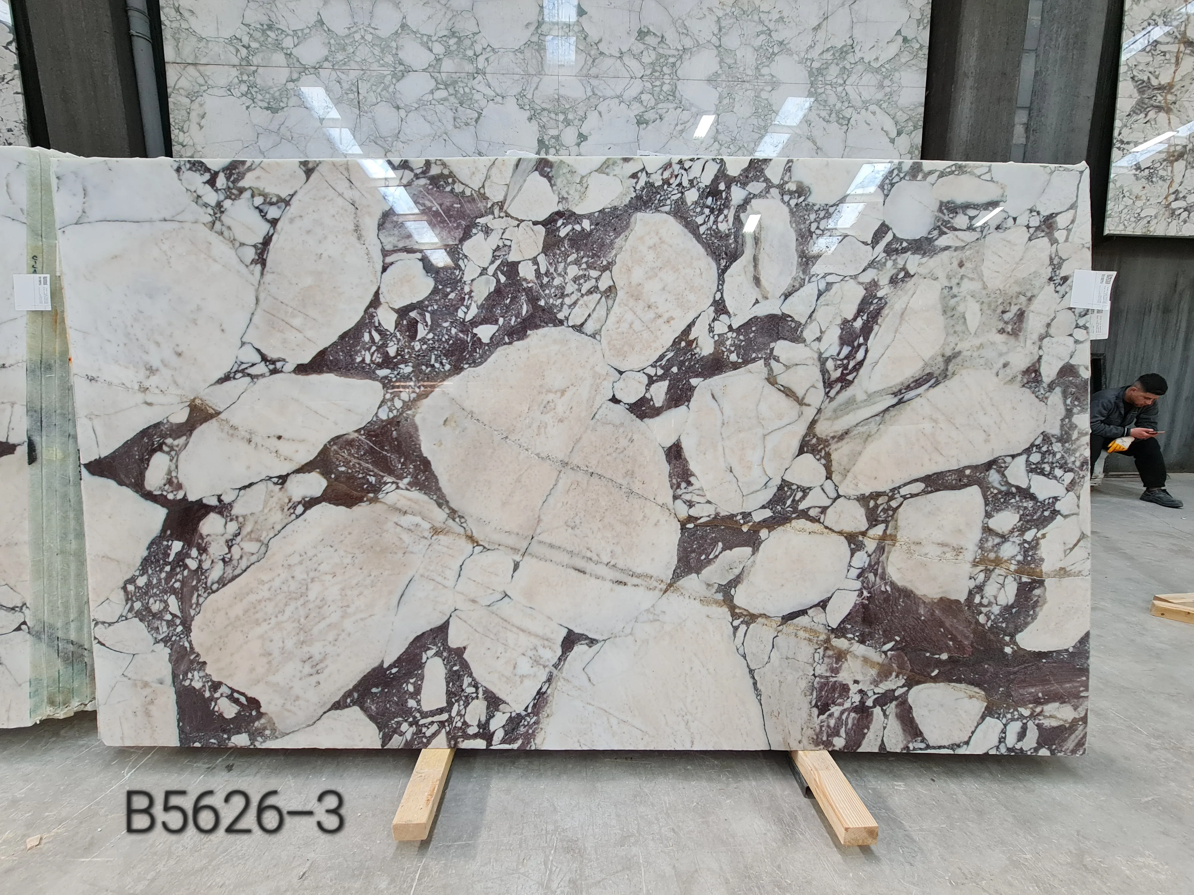 B5626 - 2 CM Calacatta Viola Polished