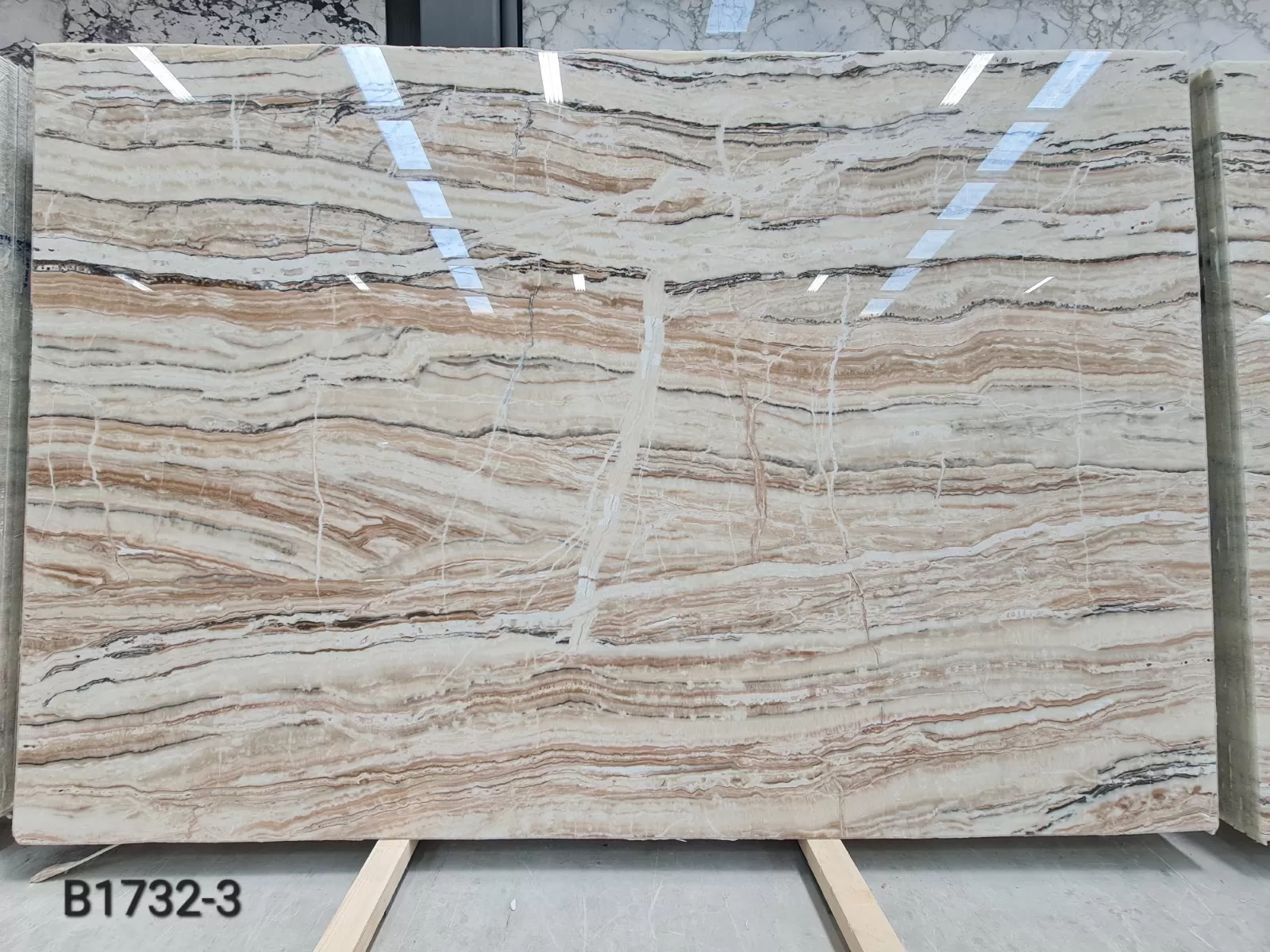 B1732 - 2 CM Jurassic Onyx Polished