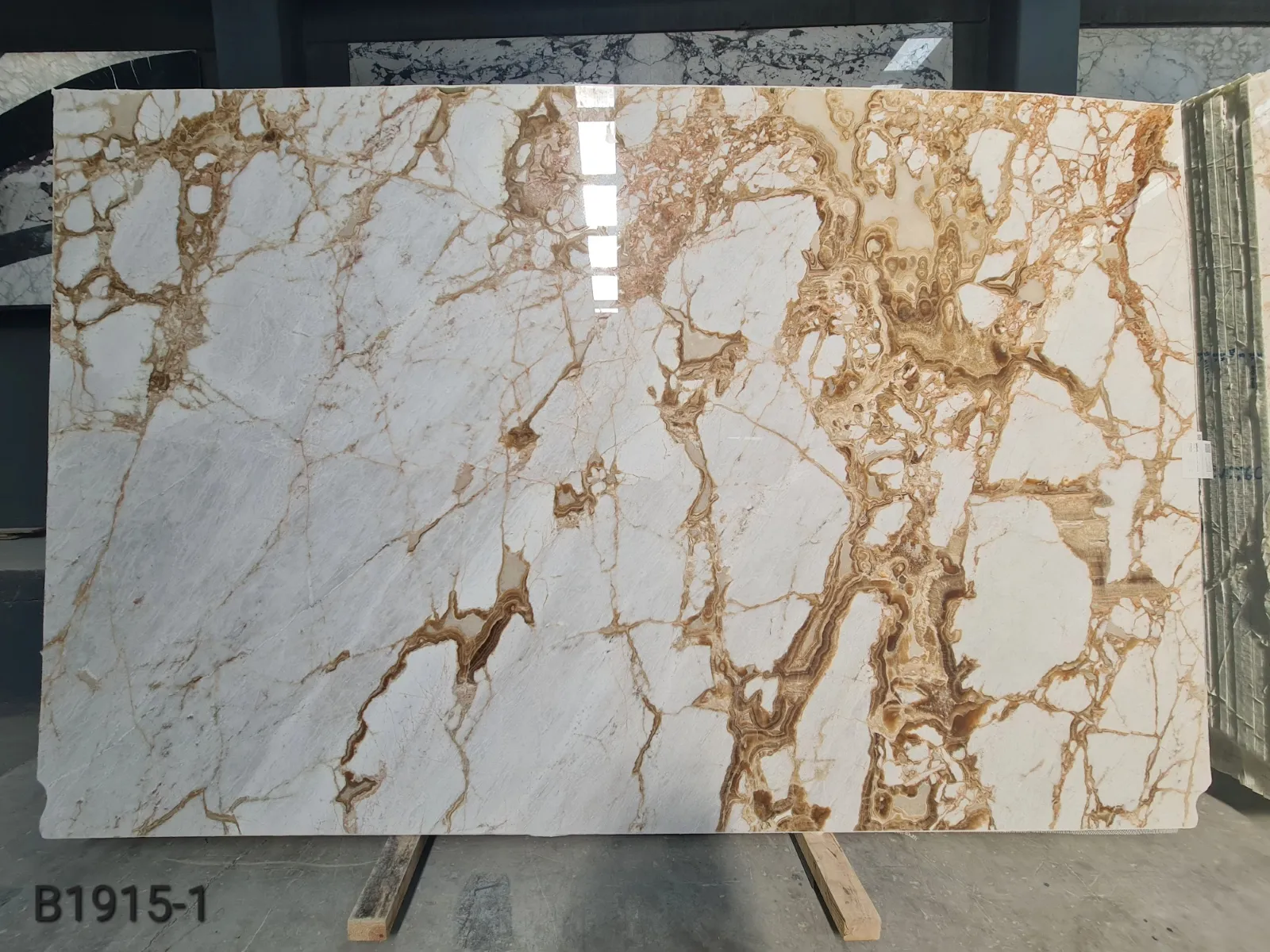 B1915 - 2 CM Alba Dorata Polished