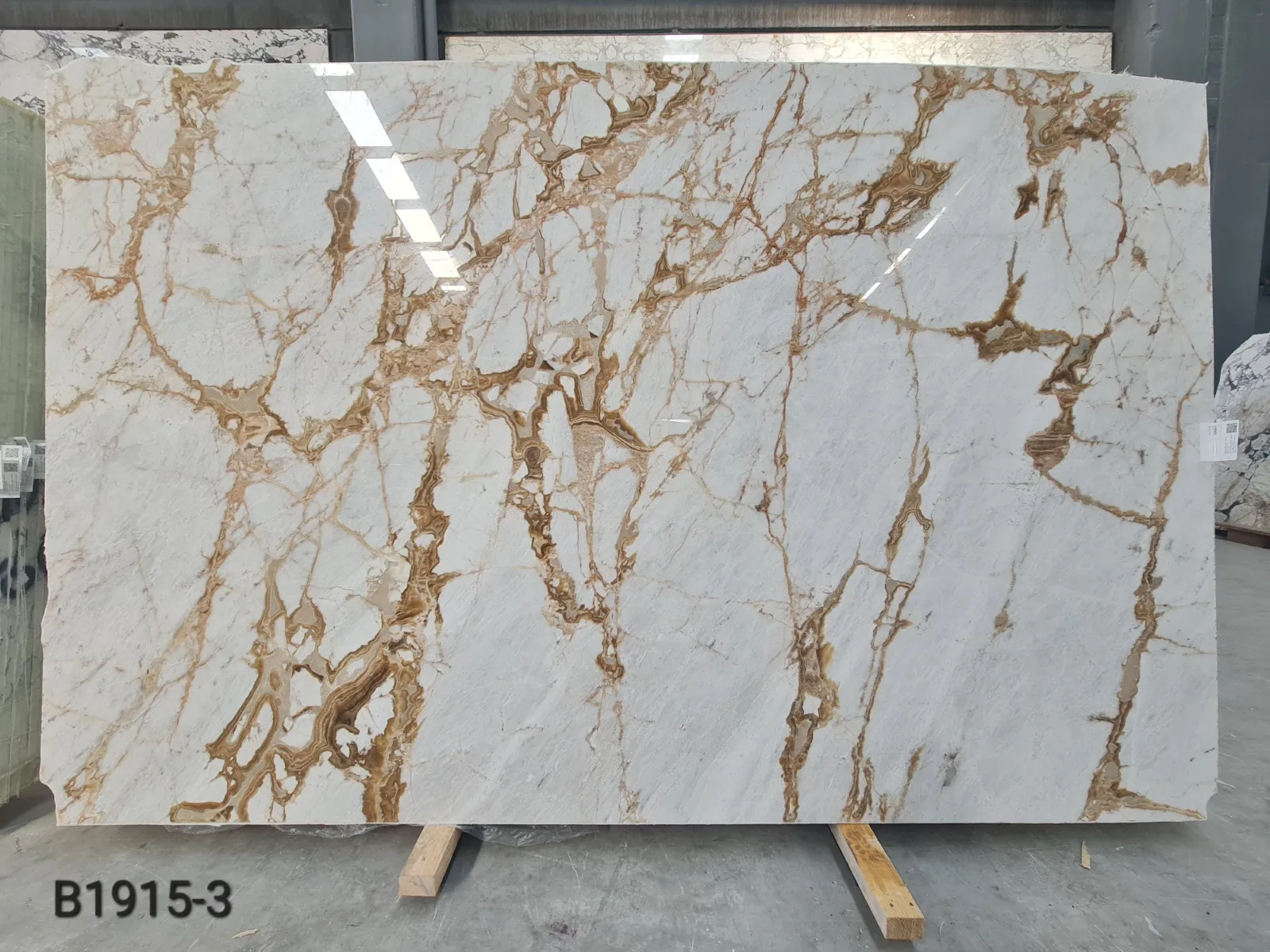 B1915 - 2 CM Alba Dorata Polished