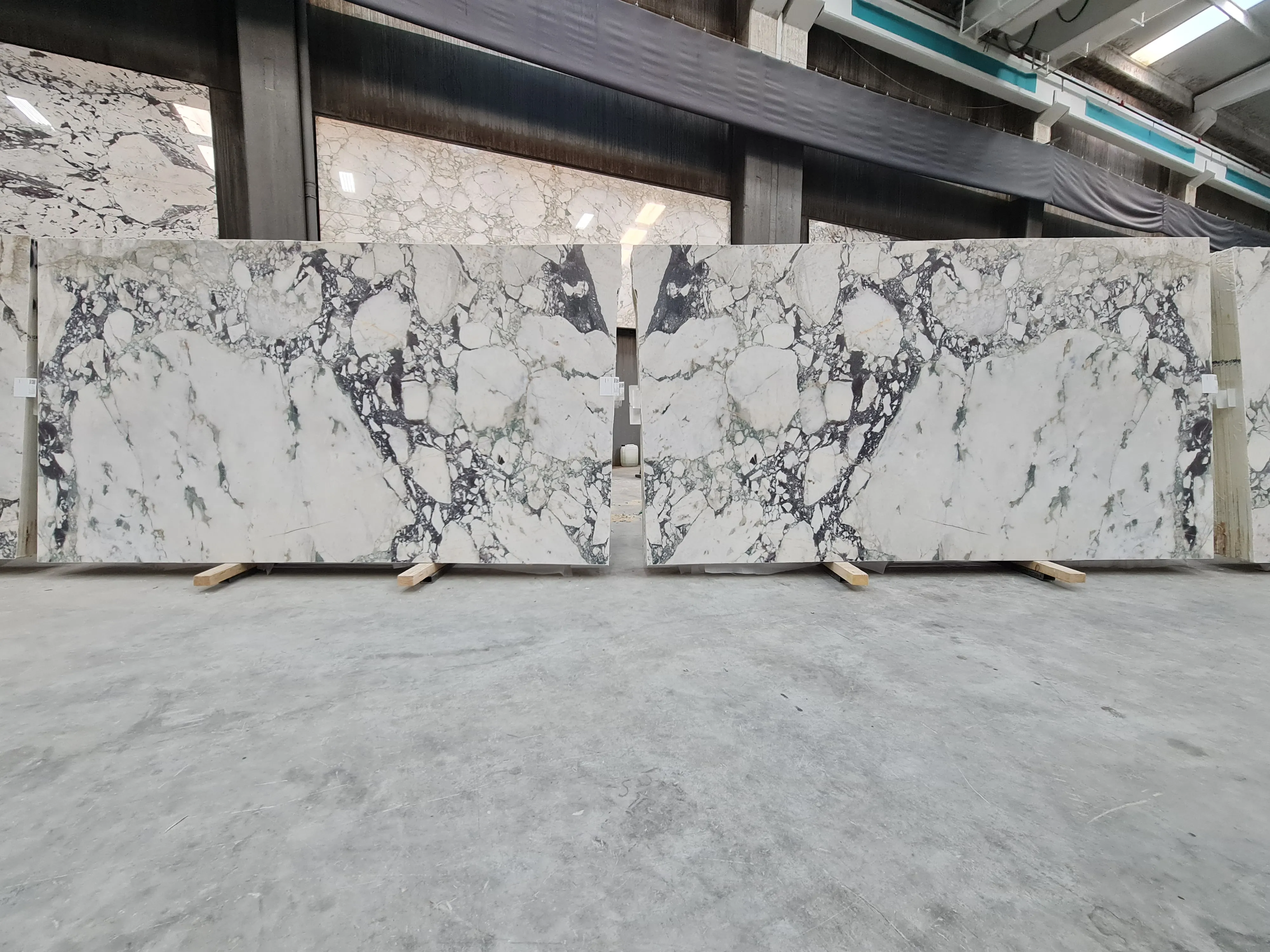 B5116 - 2 CM Calacatta Viola Honed