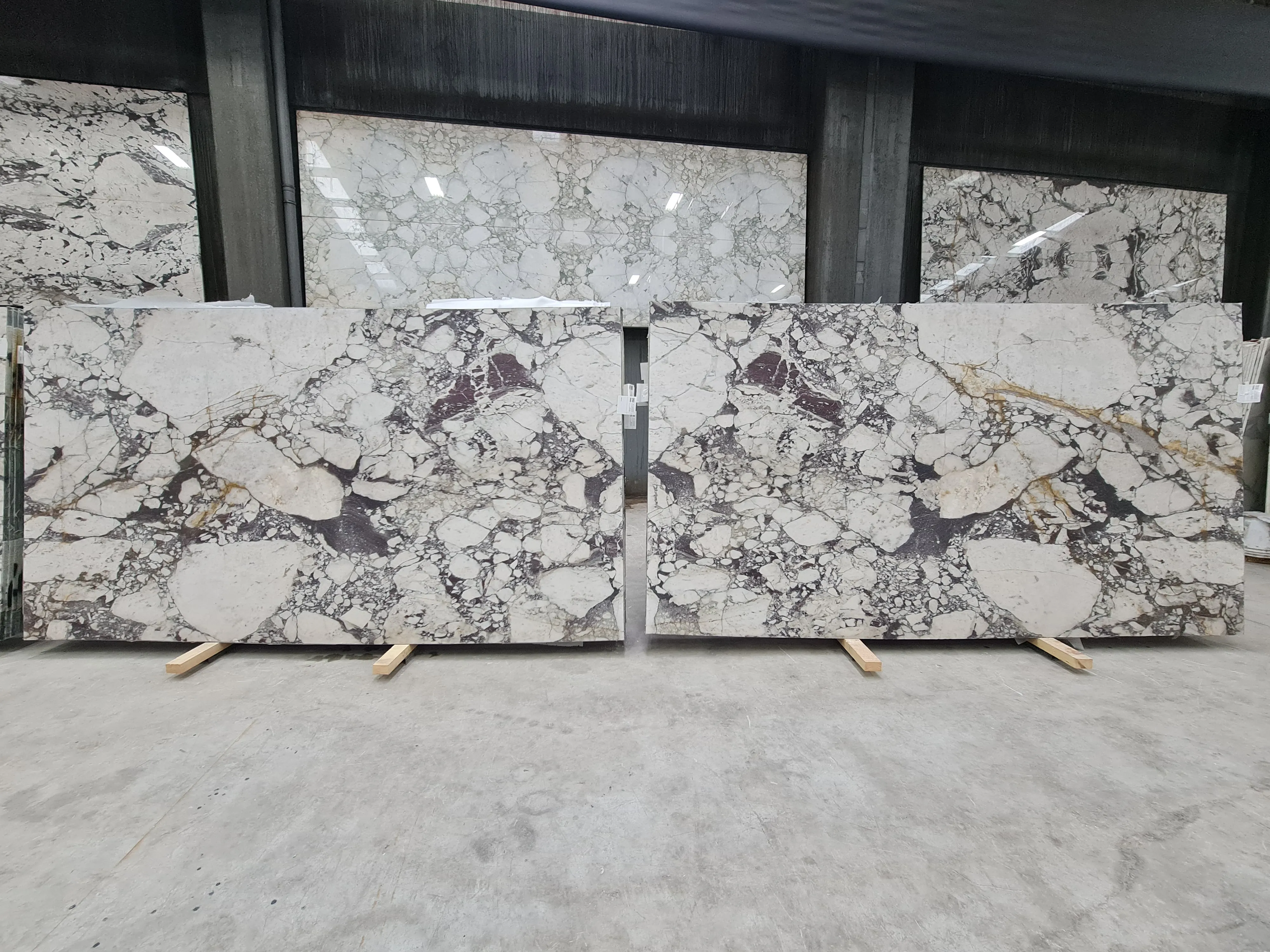 B5648 - 2 CM Calacatta Viola Honed