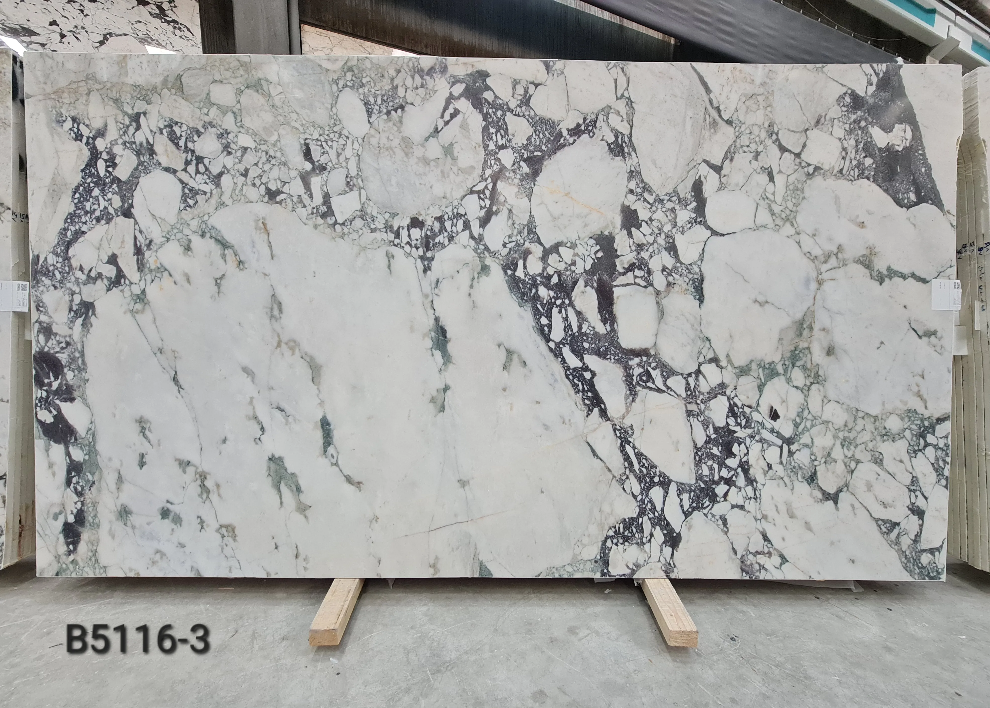 B5116 - 2 CM Calacatta Viola Honed