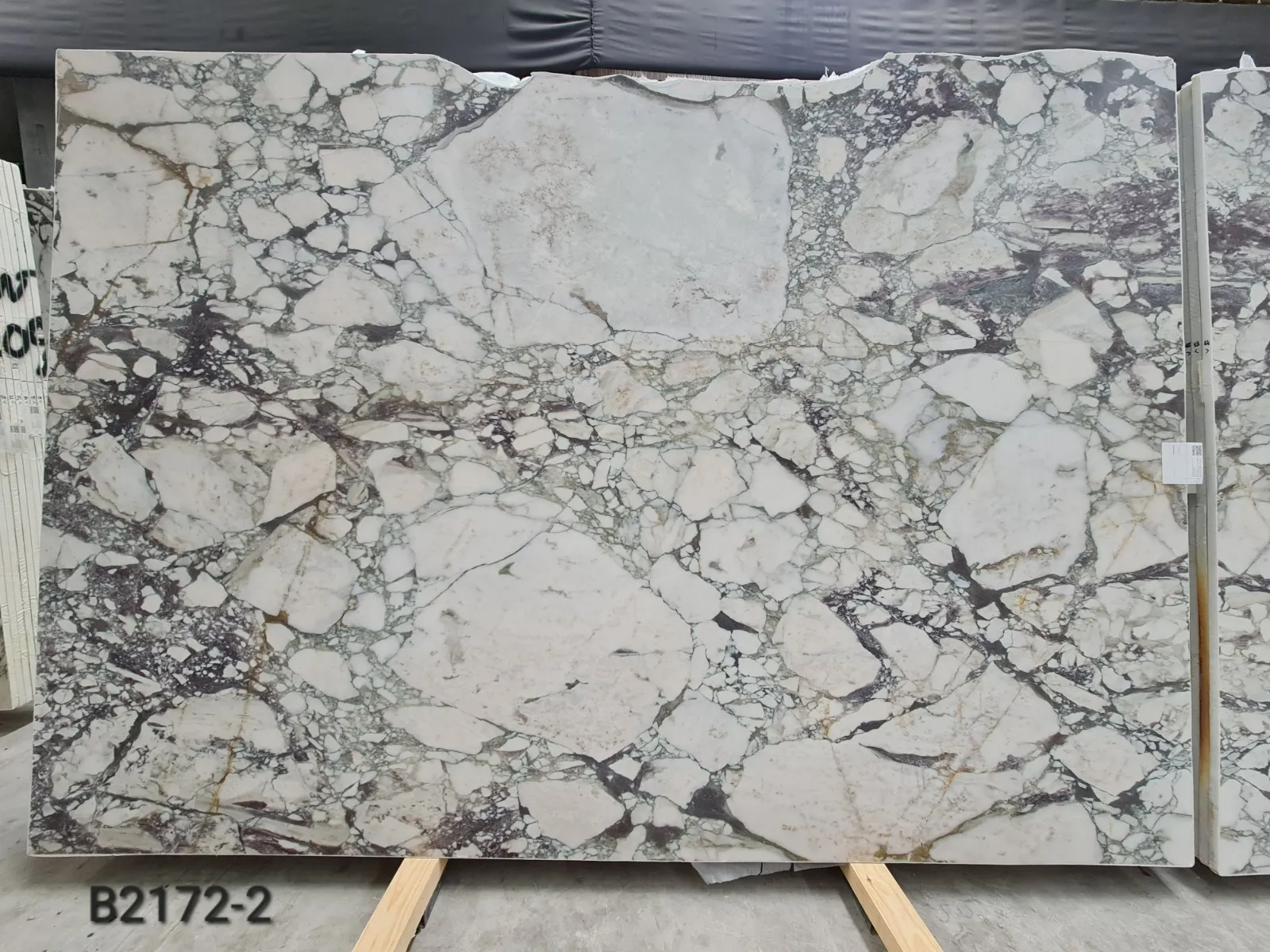 B2172 - 2 CM Calacatta Viola Honed