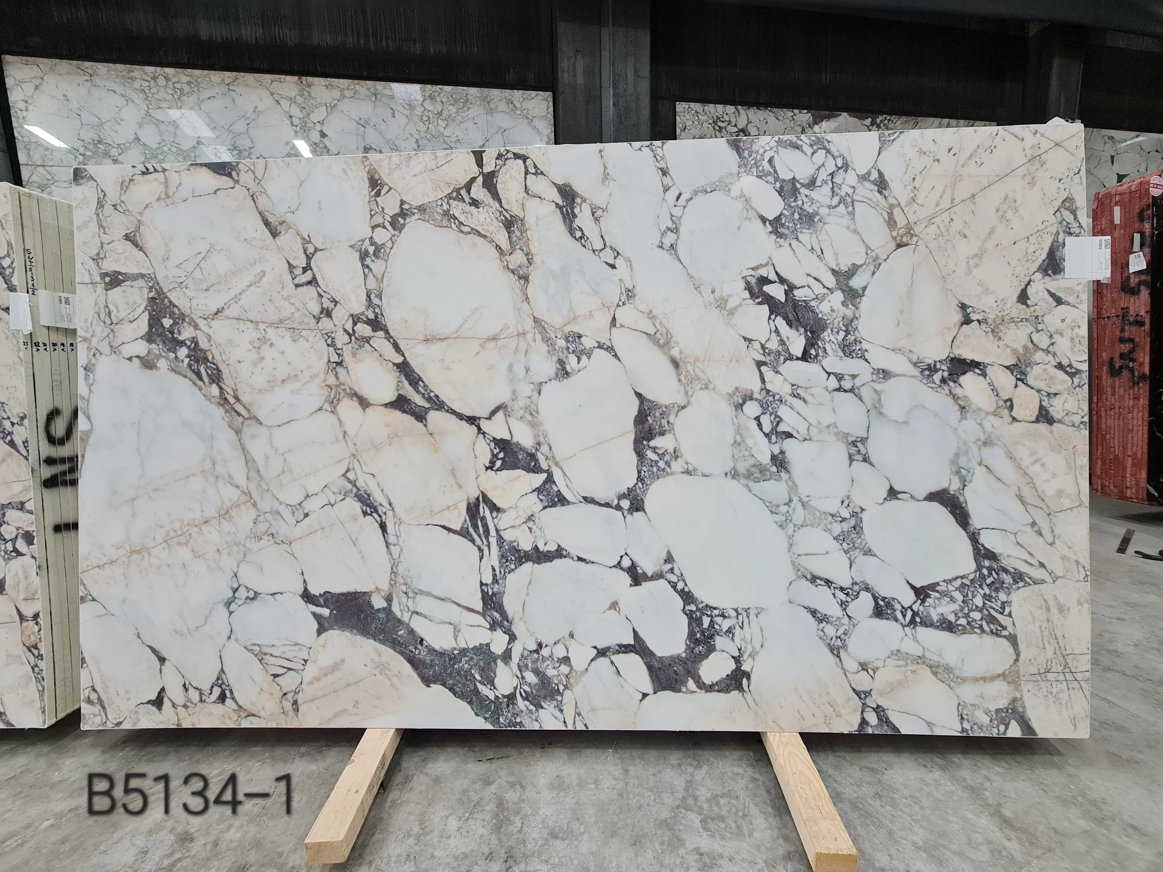 B5134 - 2 CM Calacatta Viola Honed