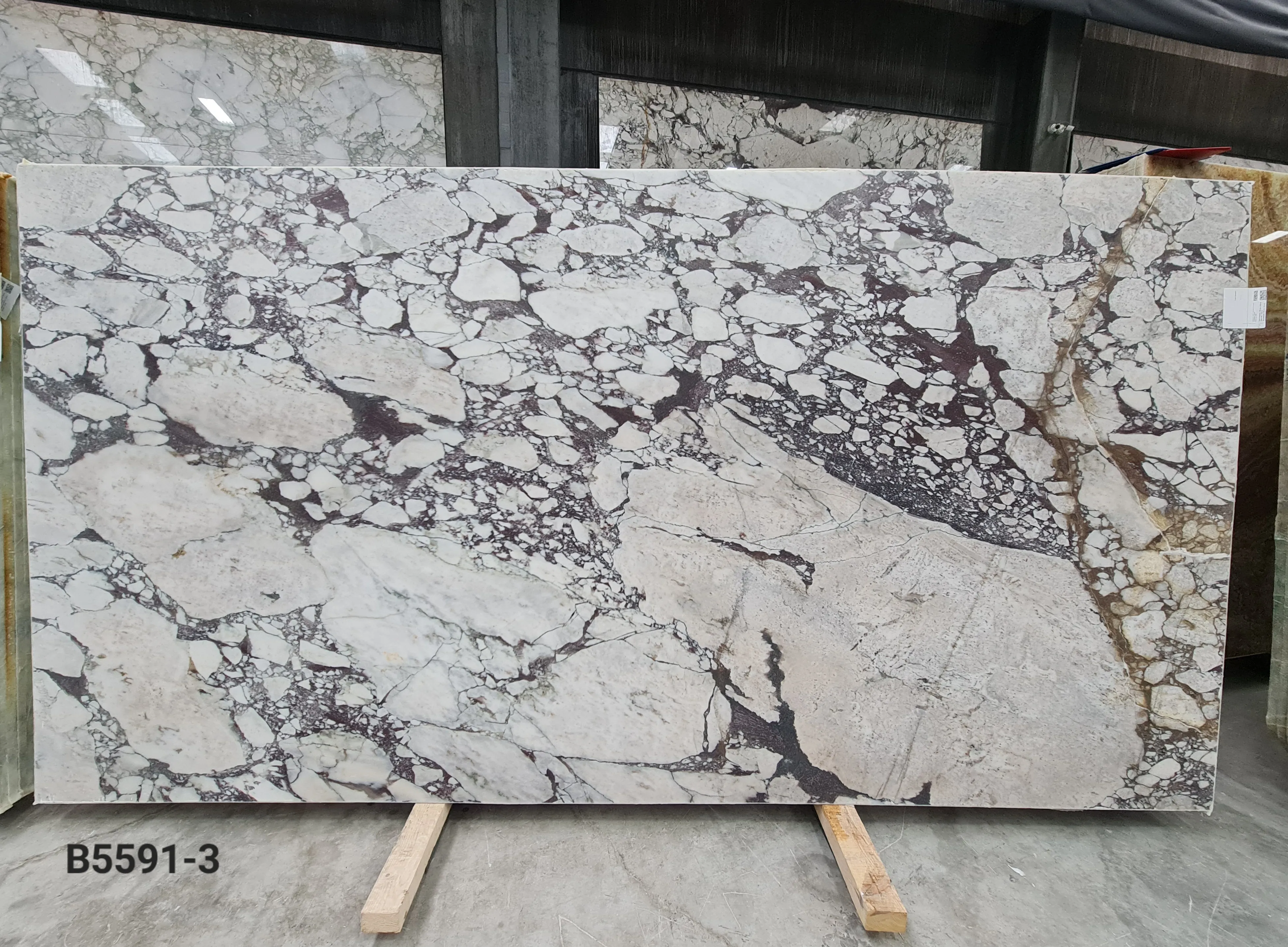 B5591 - 2 CM Calacatta Viola Honed