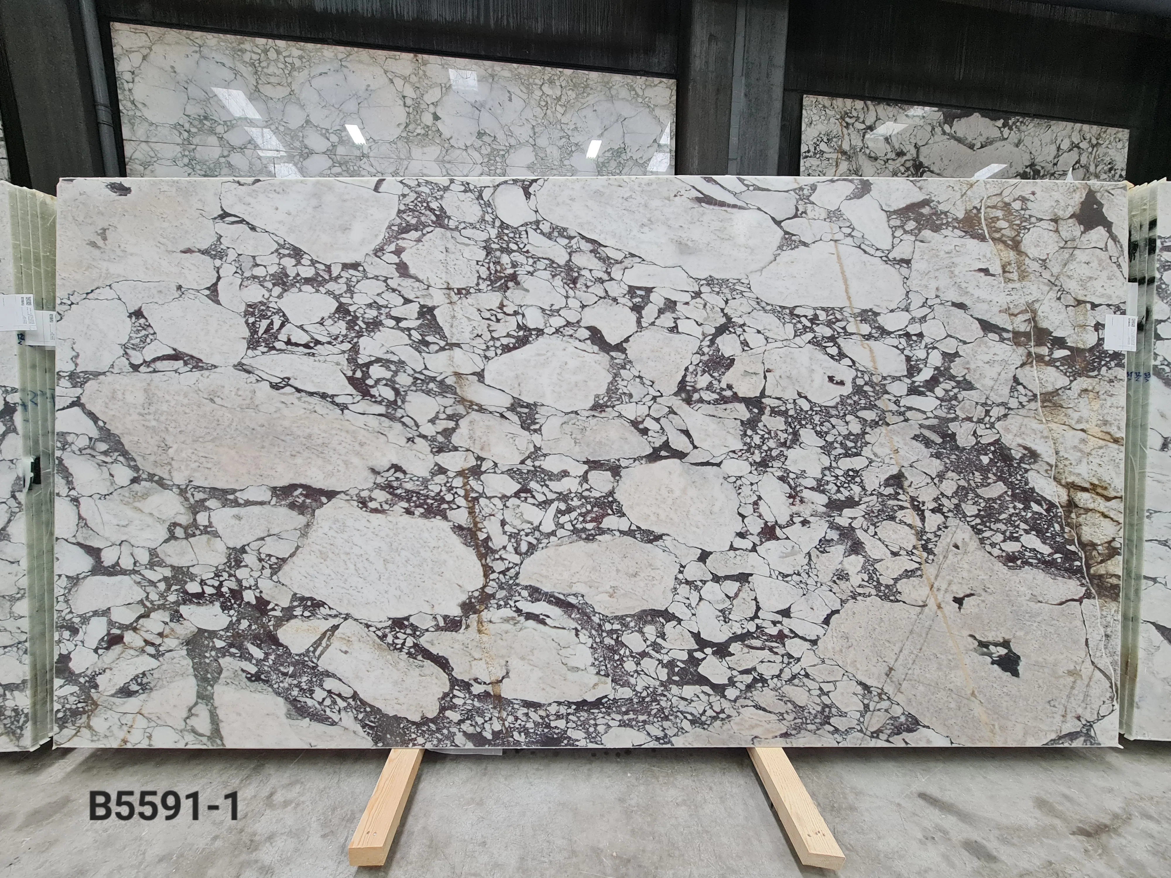 B5591 - 2 CM Calacatta Viola Honed