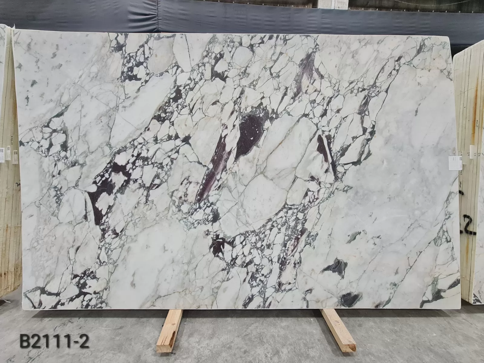 B2111 - Calacatta Viola Honed
