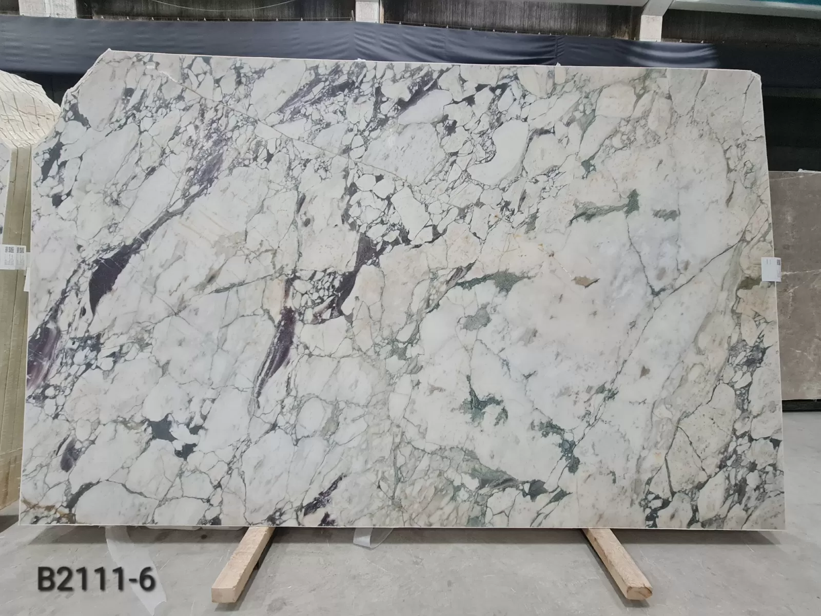 B2111 - Calacatta Viola Honed