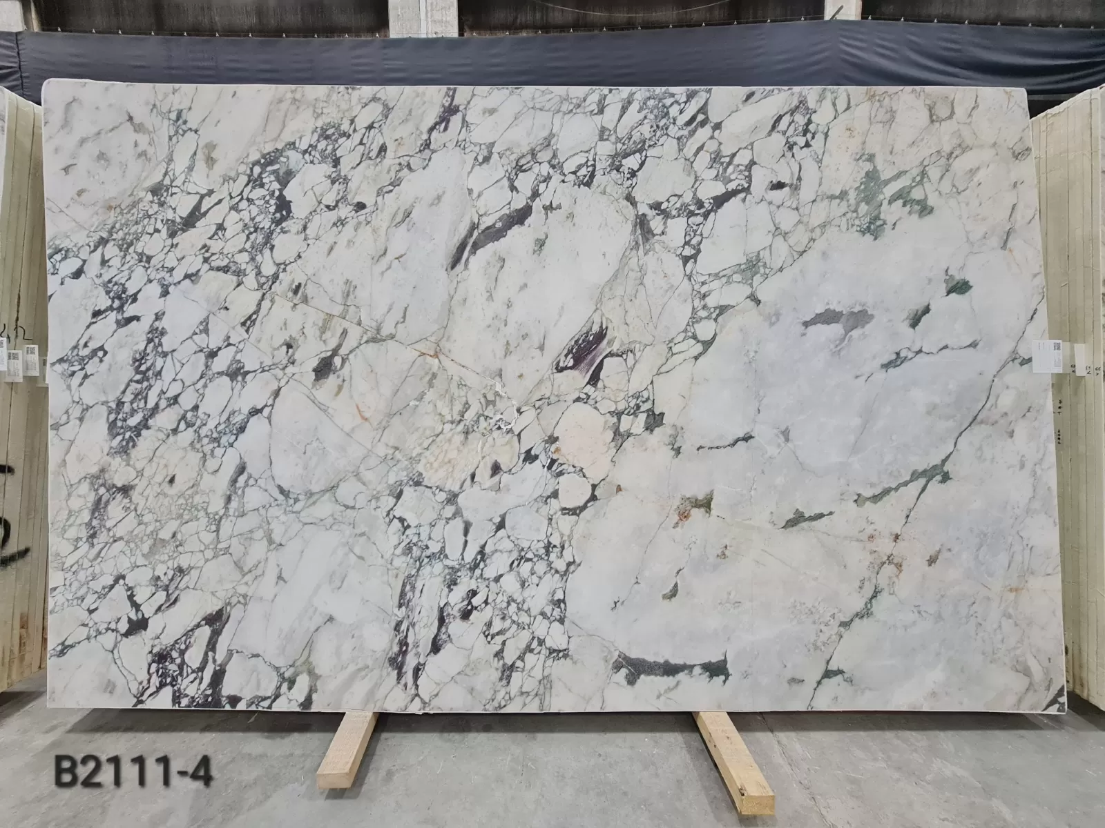 B2111 - Calacatta Viola Honed