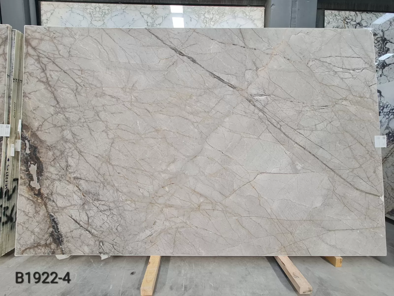B1922 - 2 CM Silver Roots Honed