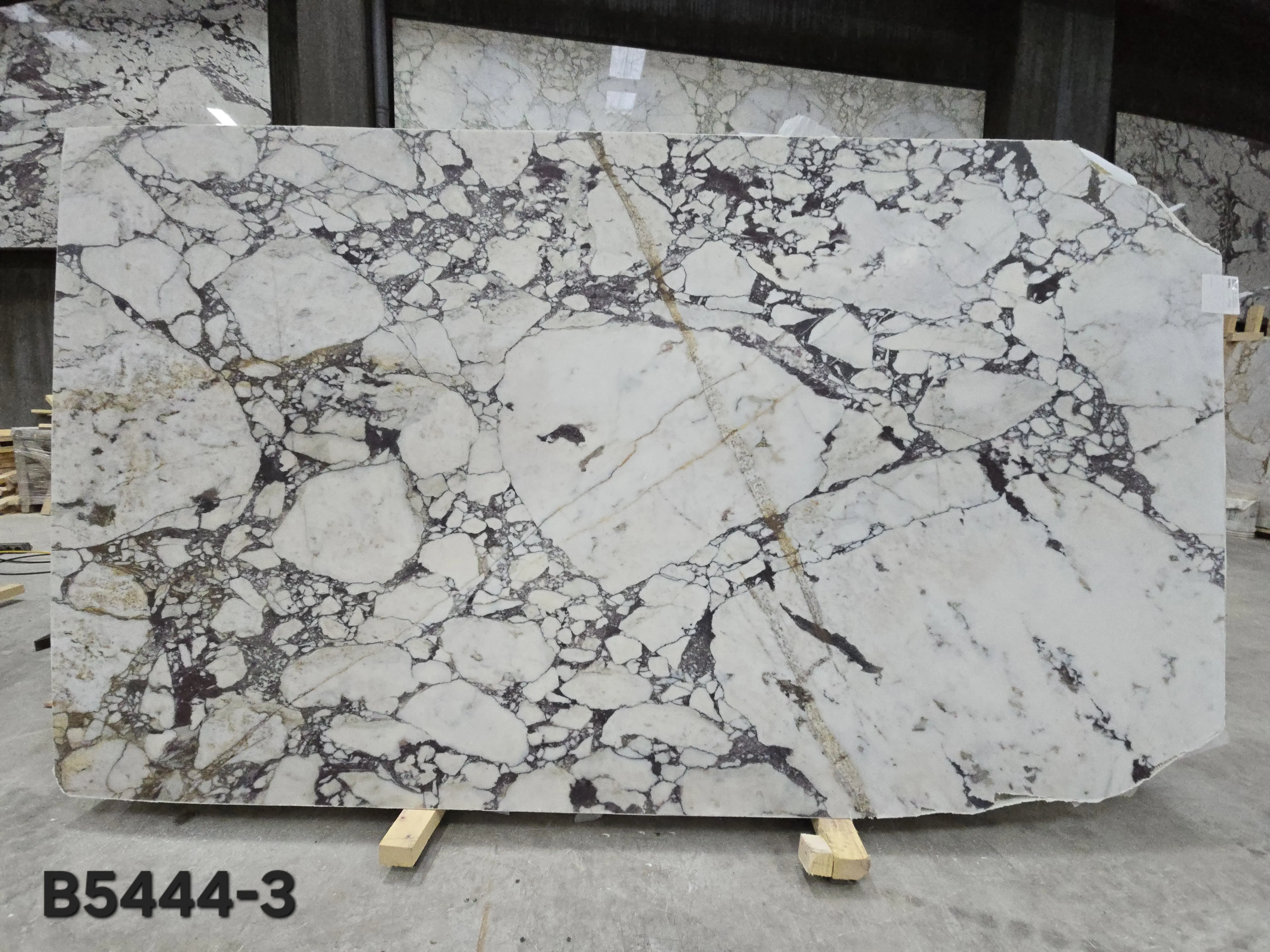 B5444 - 2 CM Calacatta Viola Honed