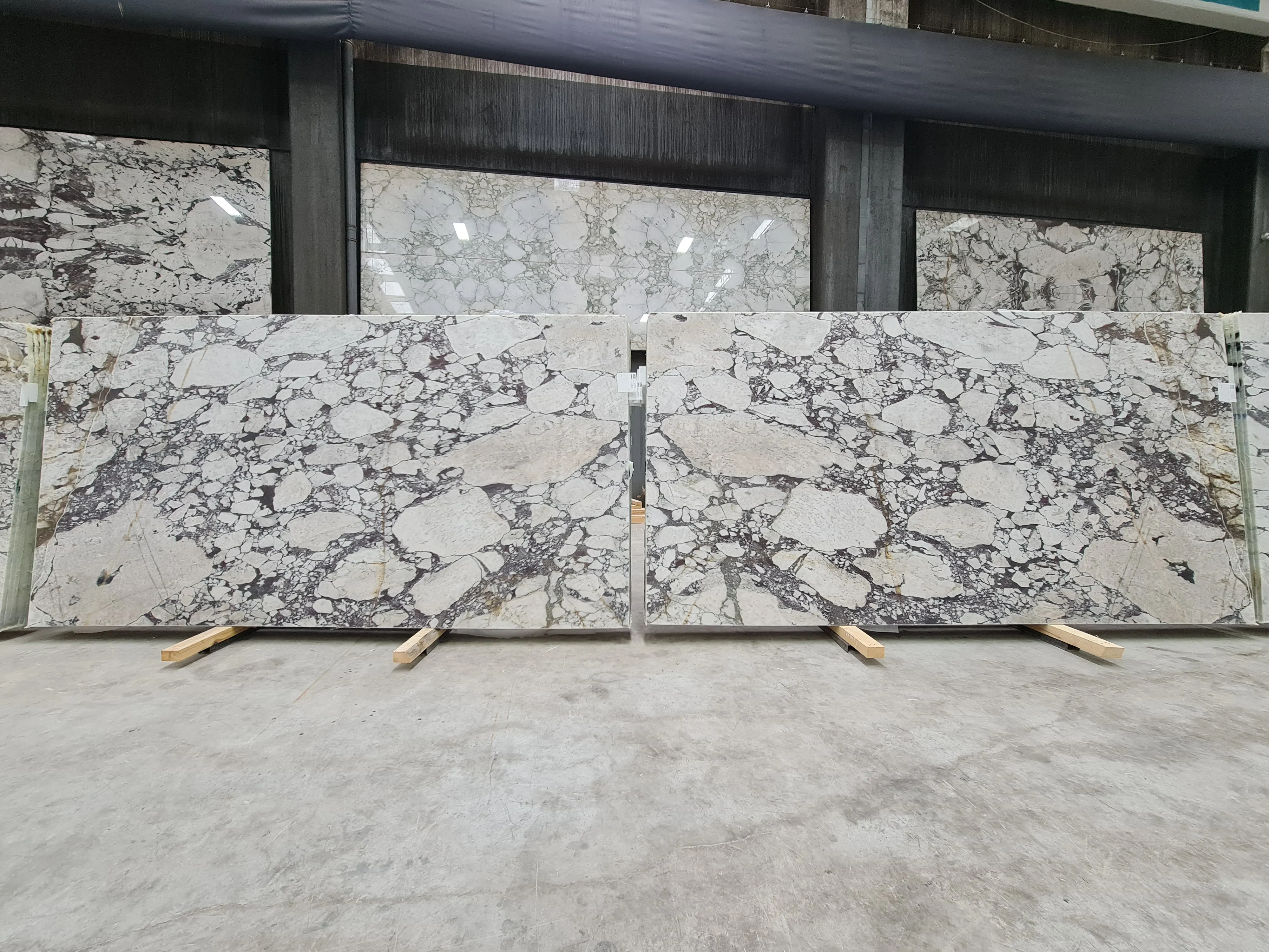 B5591 - 2 CM Calacatta Viola Honed