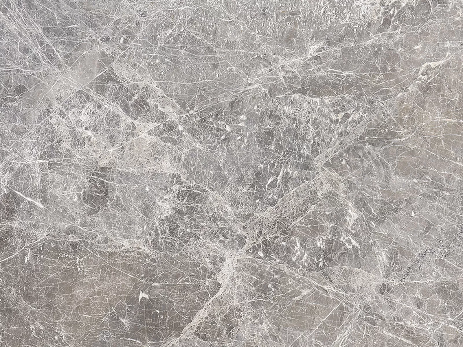 Tundra Grey