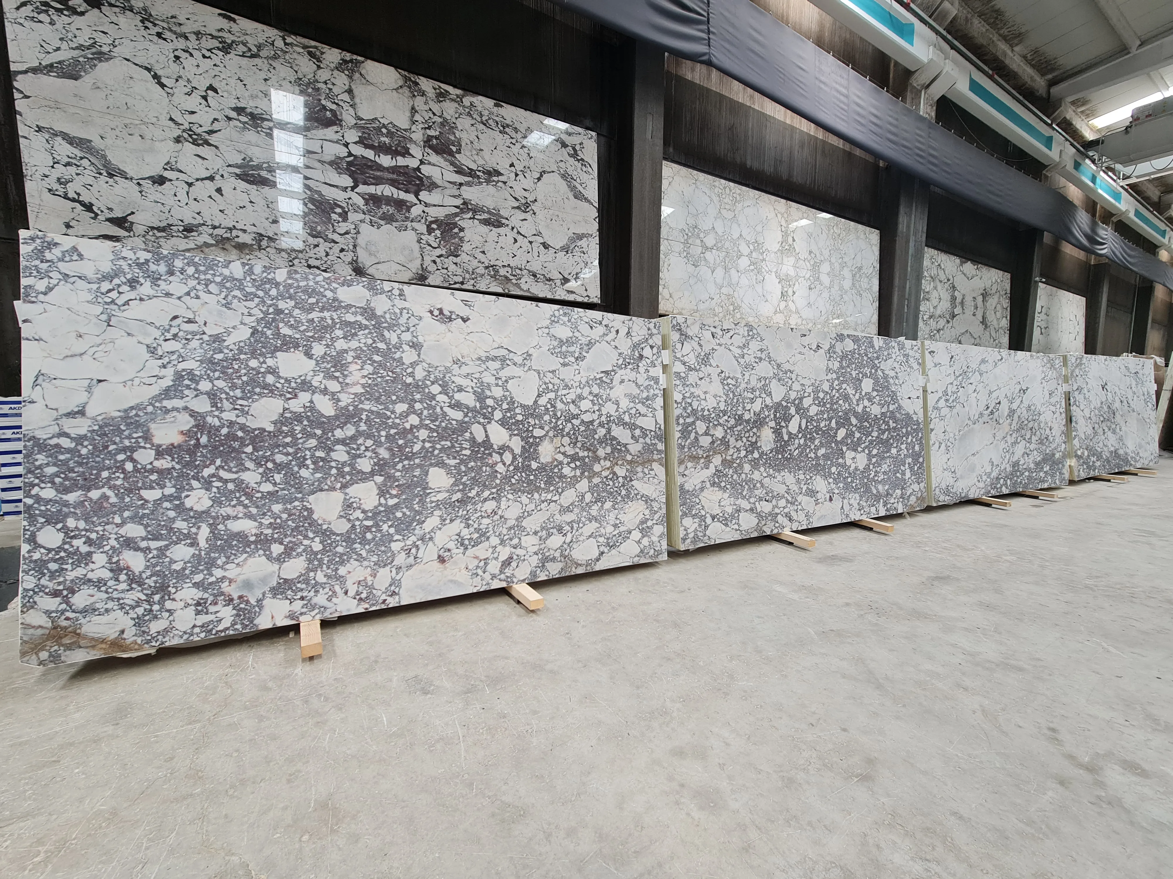 B6155 - 2 CM Calacatta Viola Honed