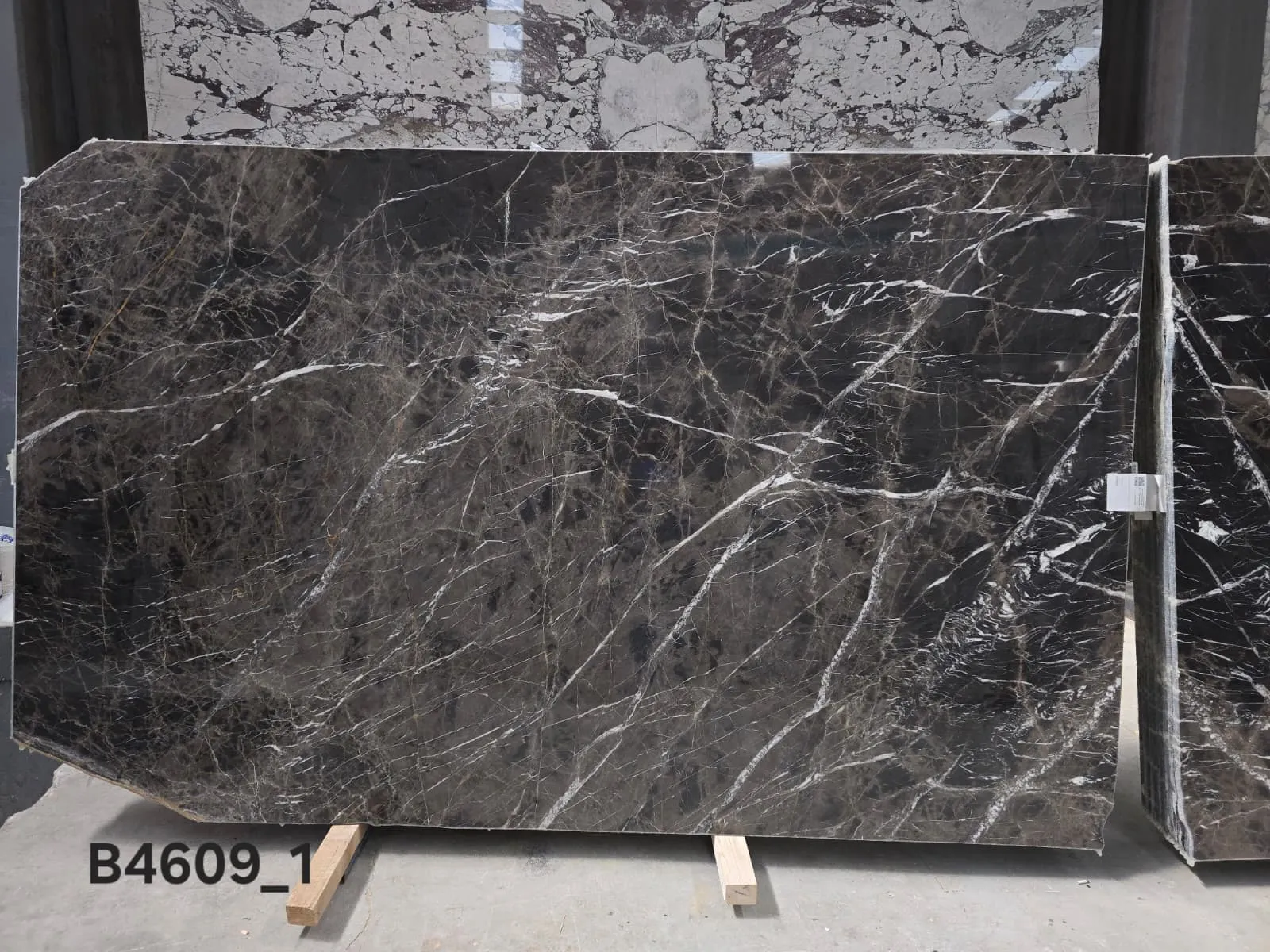 B4609 - 2 CM Bruno Perla Polished