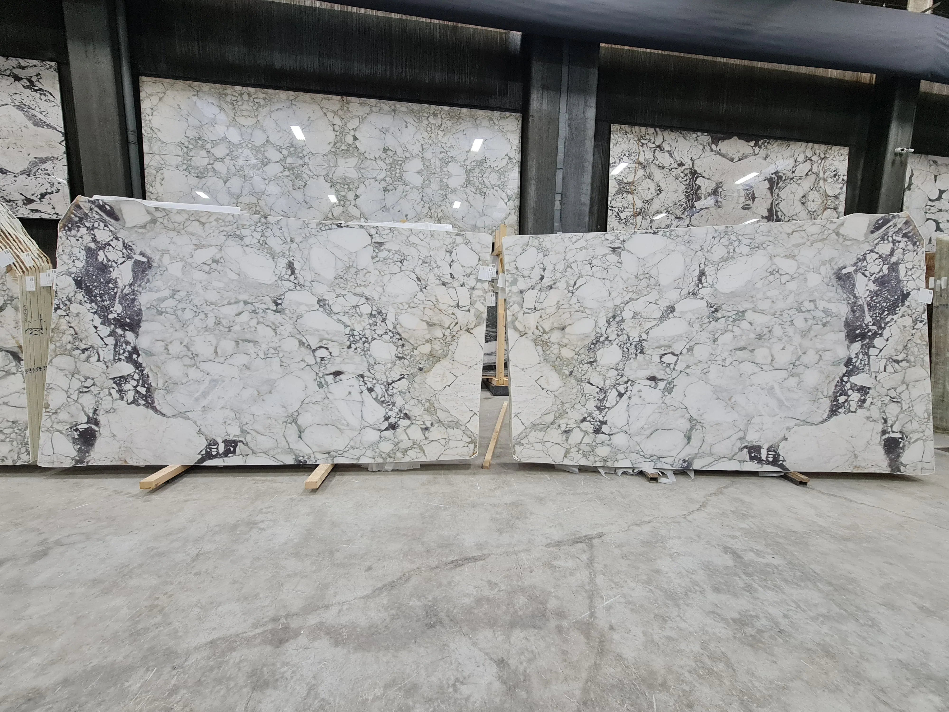 B5102 - 2 CM Calacatta Viola Honed