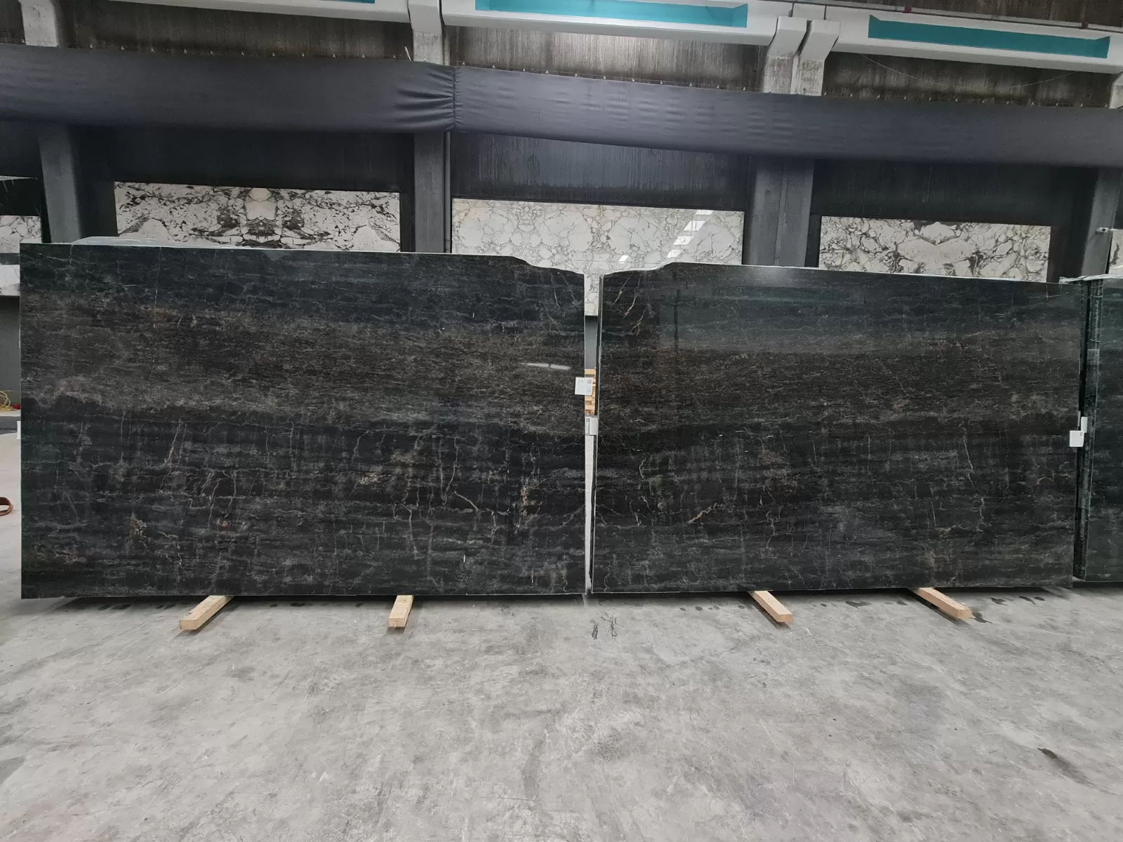 B2031 - 2CM TIGER BLACK POLISHED
