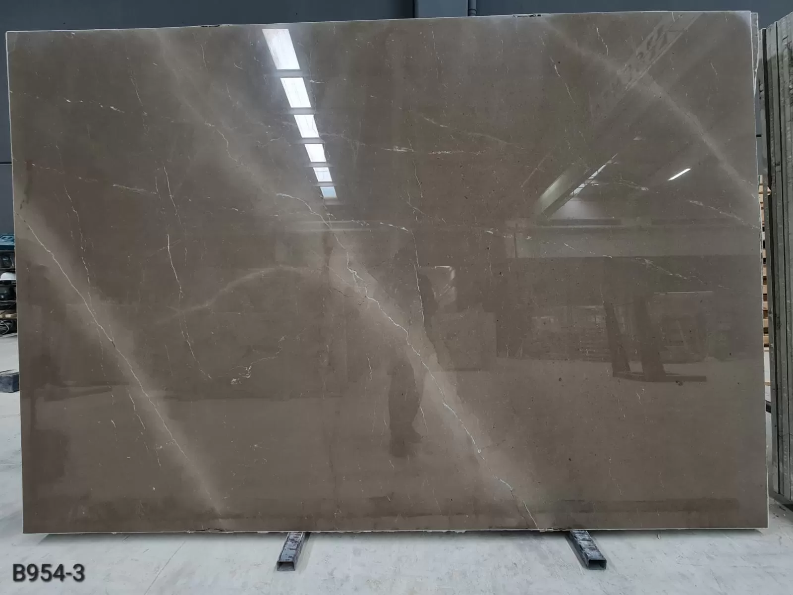 B954 - 2CM OLIVE PEARL POLISHED