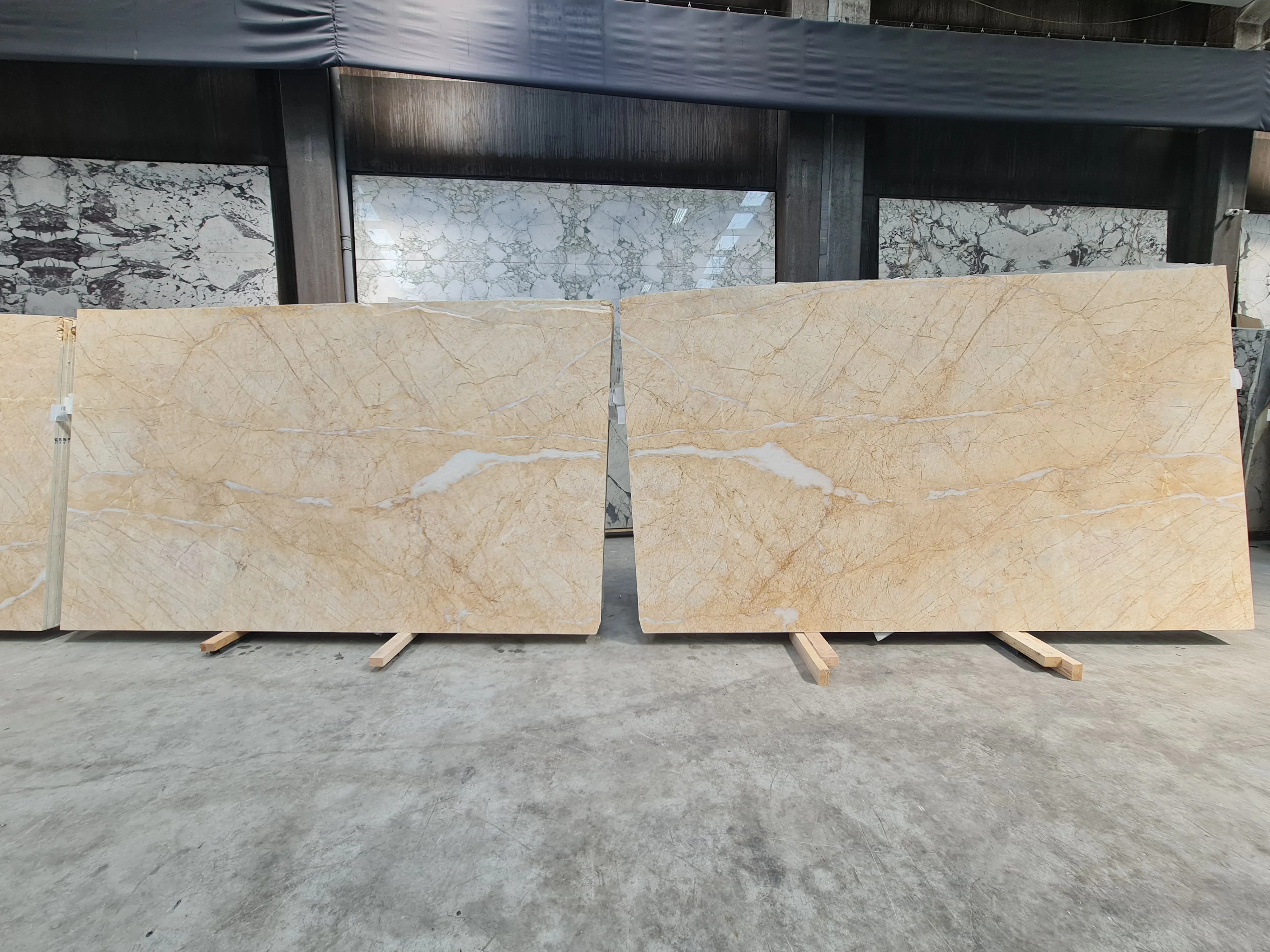 B5324 - 2 CM Golden Spider Dolomite Honed